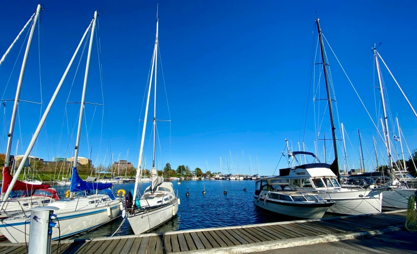 sailboats moored at a dock with other boats