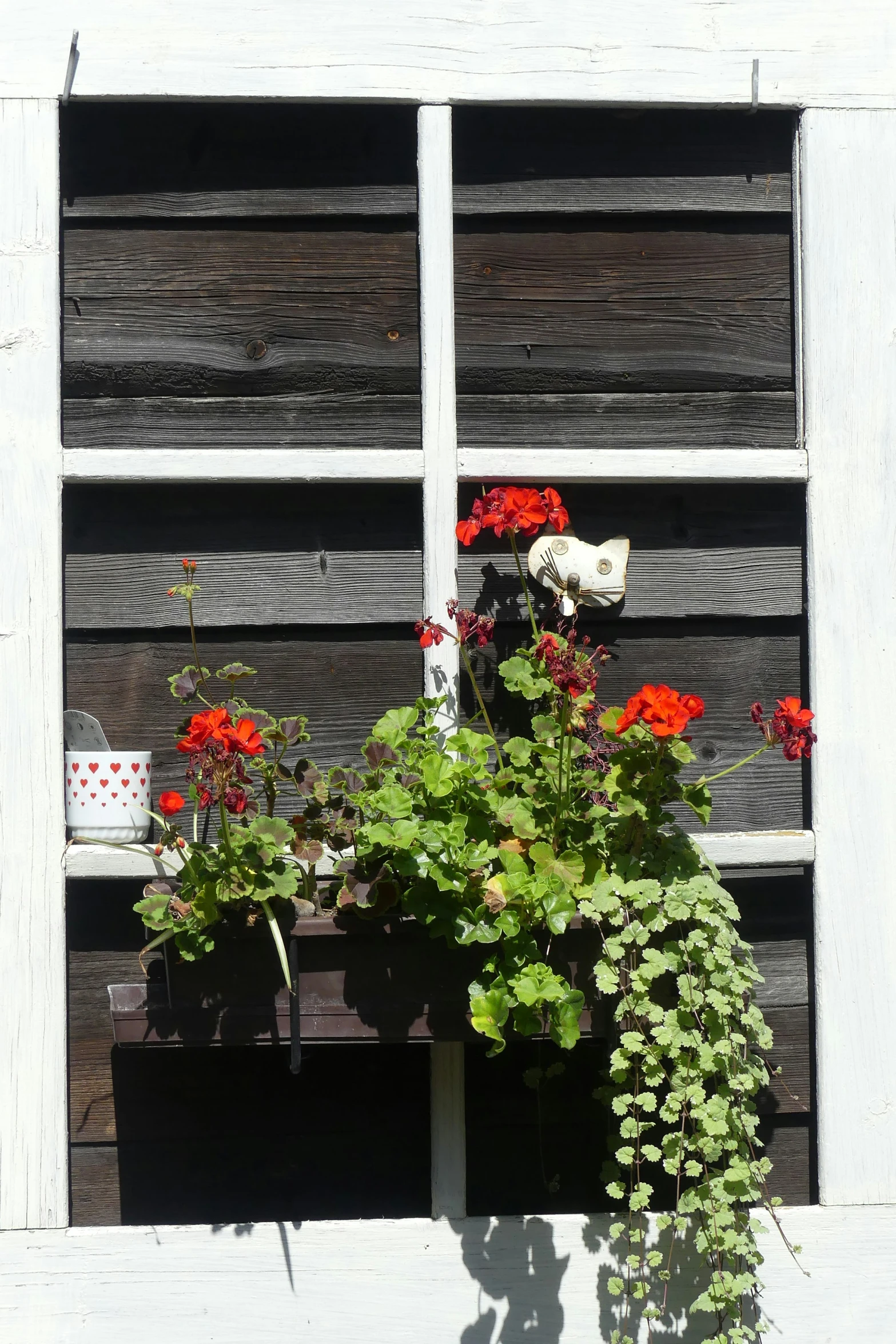 a couple of potted plants in the middle of a window