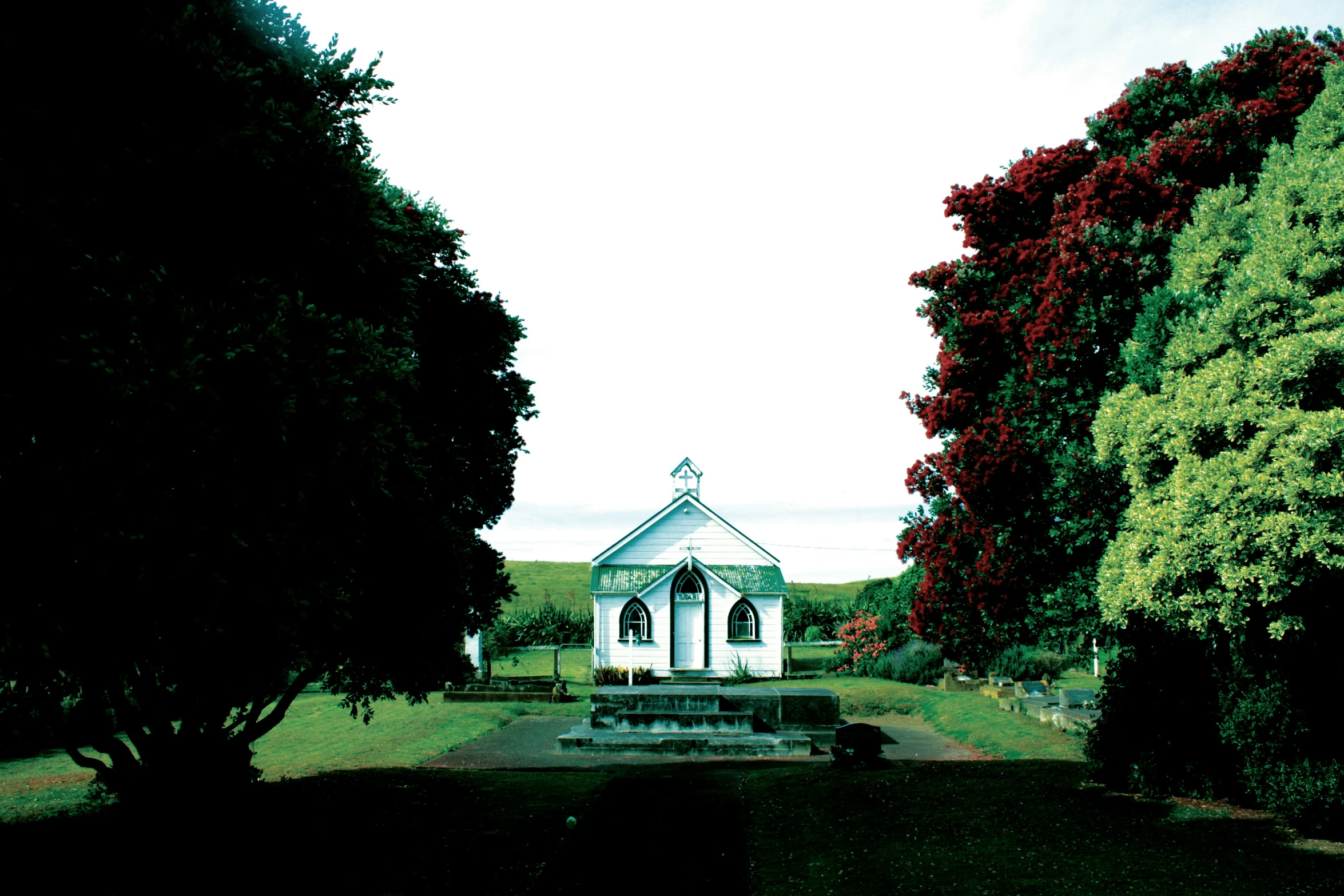 an empty white church with red trees next to it