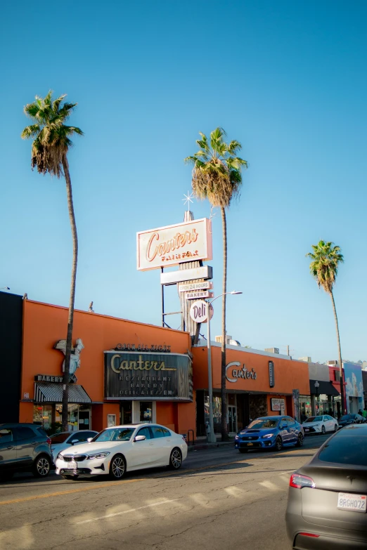 some palm trees and cars parked on the street