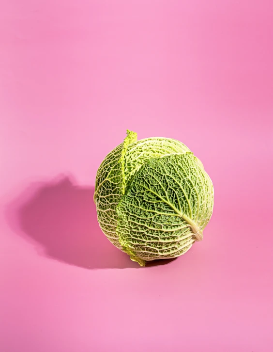 a green object on a pink surface with some green string