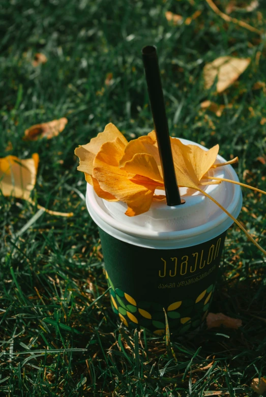 an orange and yellow flower is on top of a green cup