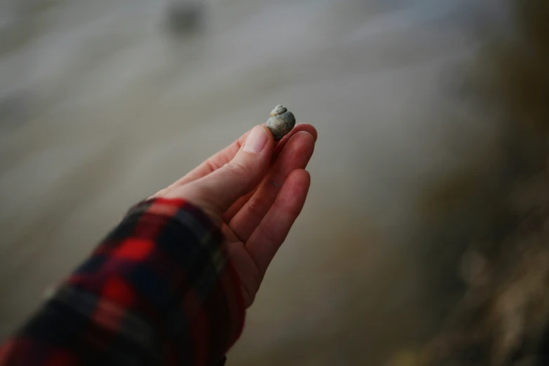 a person is holding a small object in their hand