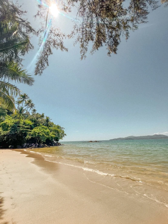 the beach in front of some trees, water and rocks