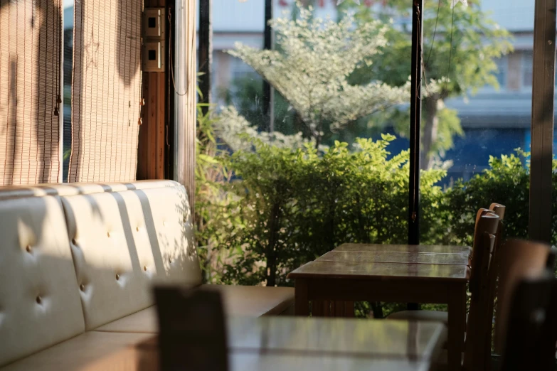 the view out a window shows trees outside