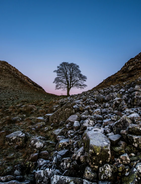 the lone tree is sitting at the foot of this hill