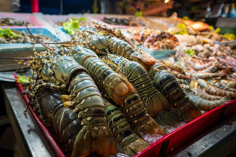 some large lobsters in an open - air seafood market