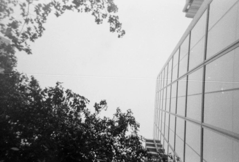 trees and buildings viewed from an elevated view