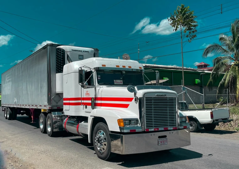 a semi - truck and trailer drive on a paved road in front of palm trees