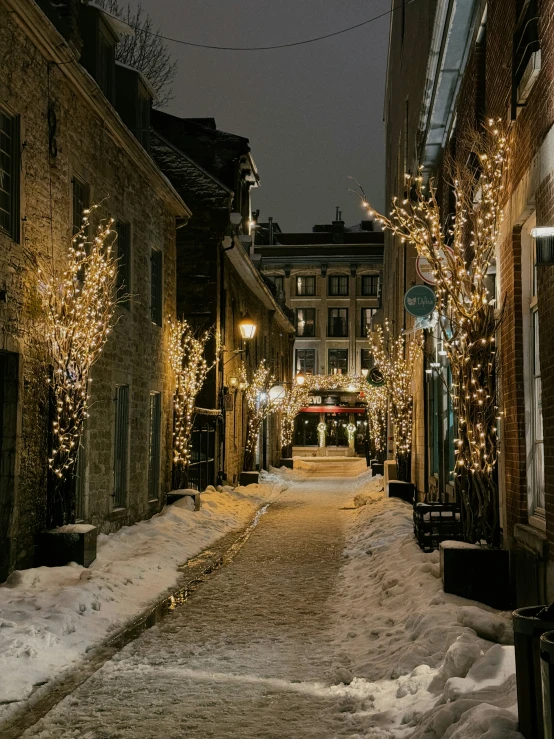 a snow covered road and snowy street lamps and building fronts