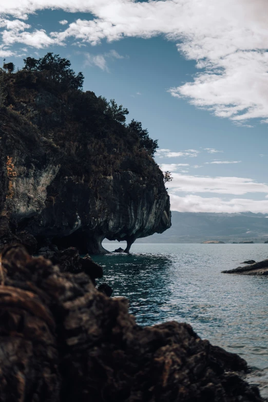 a person is in the water and a tree is growing on a hill