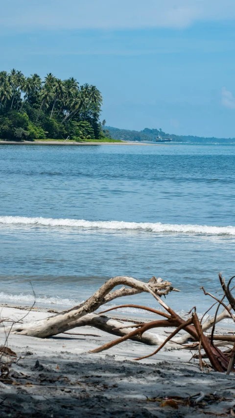 a lone person walking along a shore line