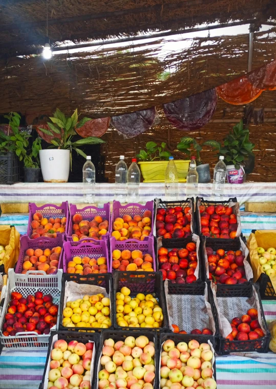 many fruits are displayed in containers in front of a wood fence