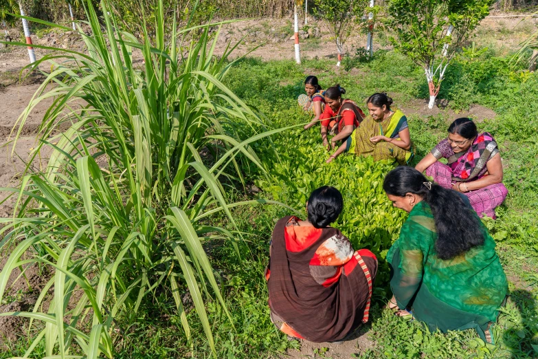 group of indian women sit outside in a field