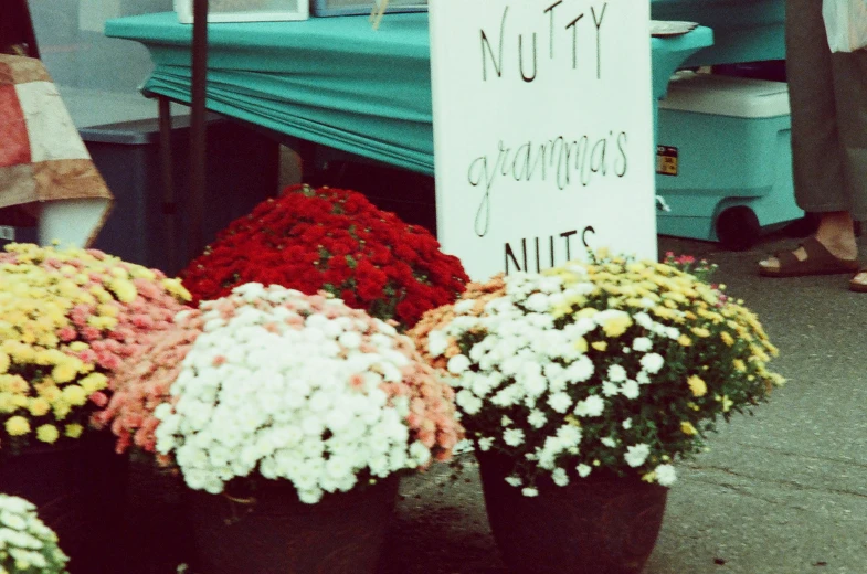 colorful flowers and a sign with the words, nuts, organic nuts