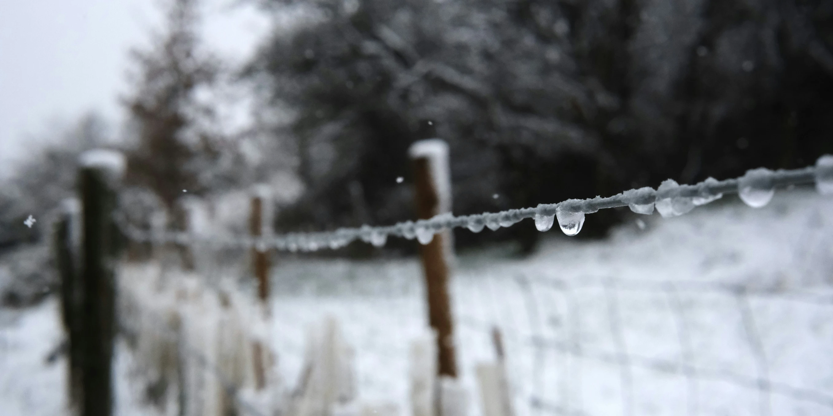 some snow and grass with a fence and trees