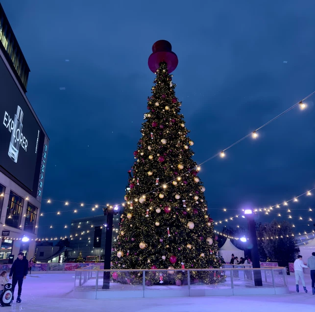 a tall, christmas tree stands in the center of the ice rink at night