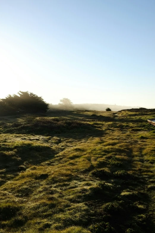 a bench sits in the fog on a sunny day