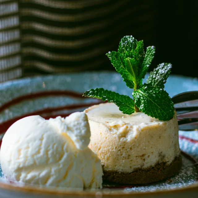 a plate topped with cheesecake covered in ice cream