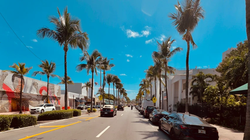 cars are parked on the street in front of palm trees