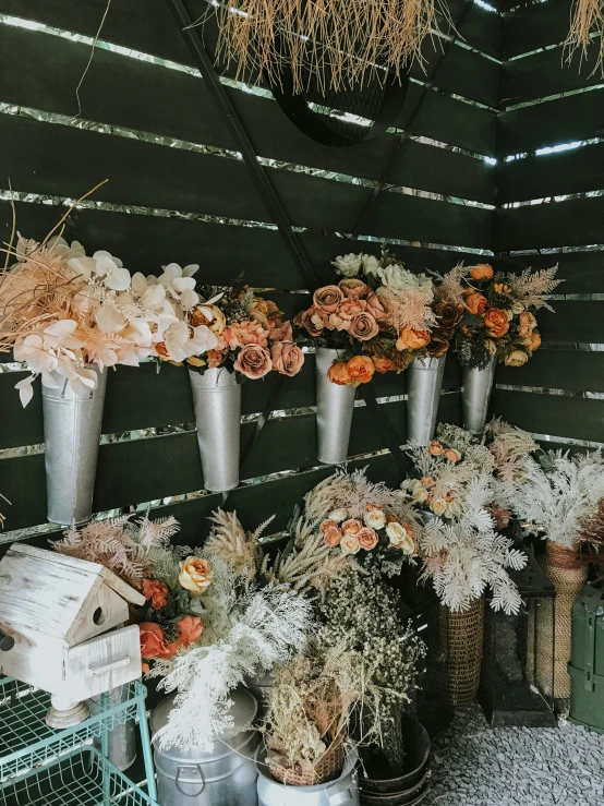 various flowers and bird cages with grass and hay