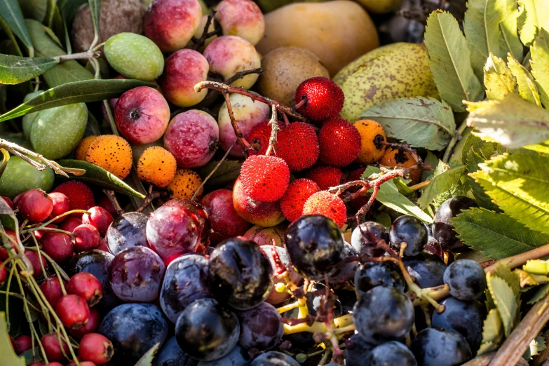 a lot of fruits are laying on the ground