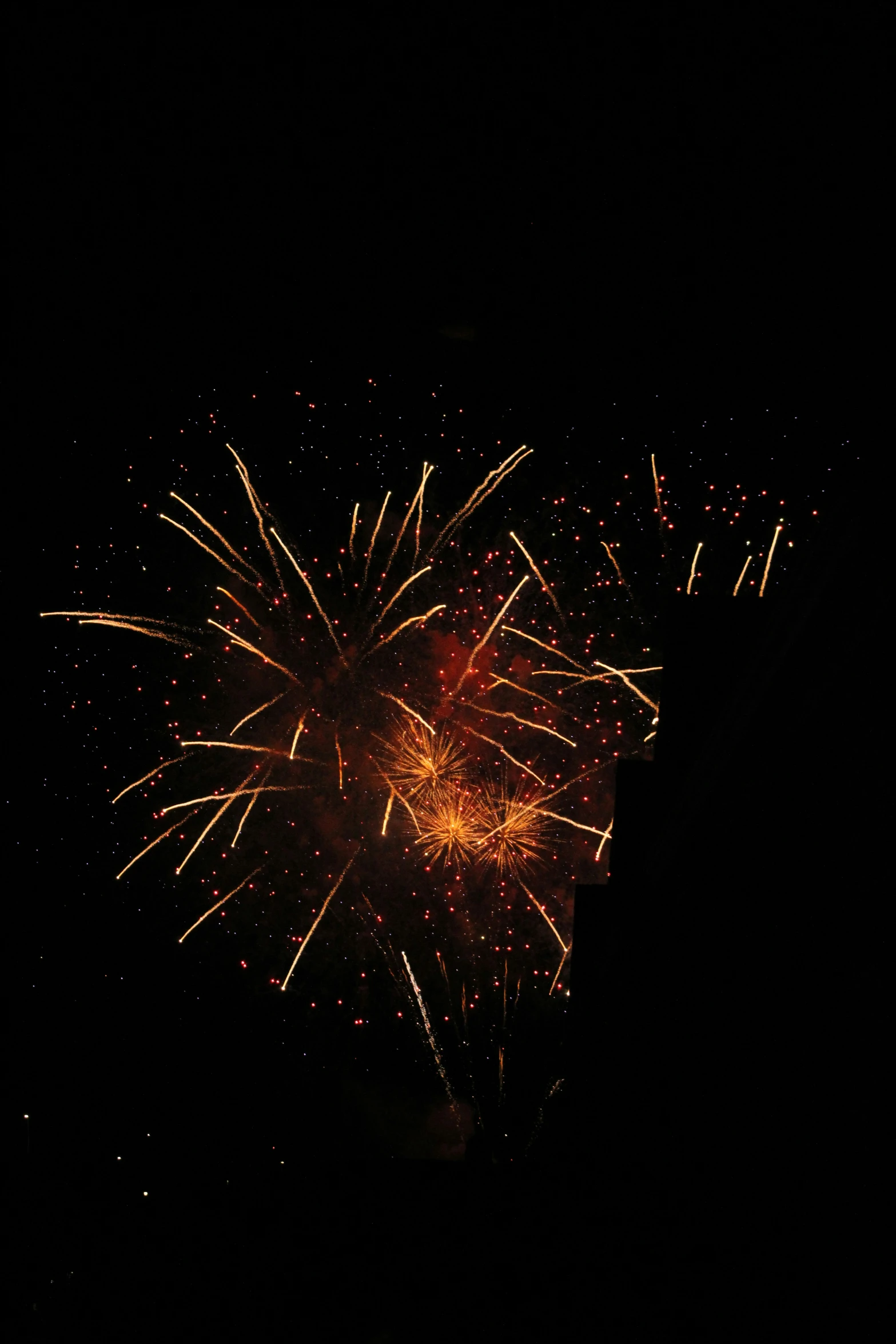 a large display of fireworks is seen in the dark sky