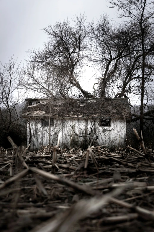 there is a small shed with grass on the roof