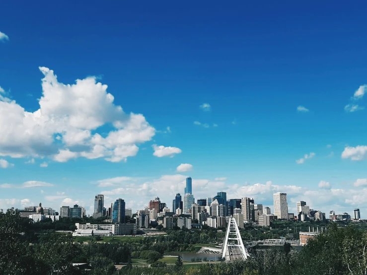 the city skyline as seen from above the trees