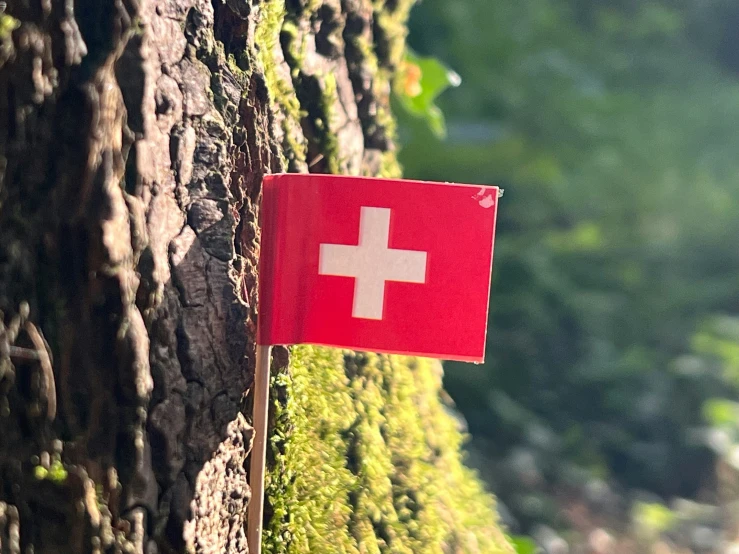 an swiss flag hanging on the side of a tree