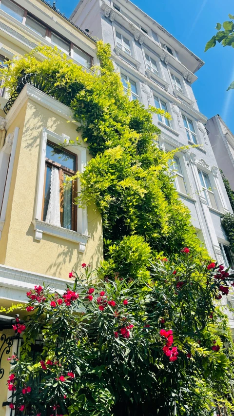 an ornate building covered in windows and plants