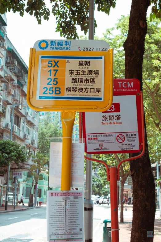 a sidewalk has street signs on it and a tree