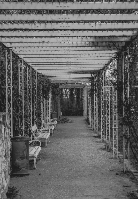 a black and white po of benches lined up under a covered walkway