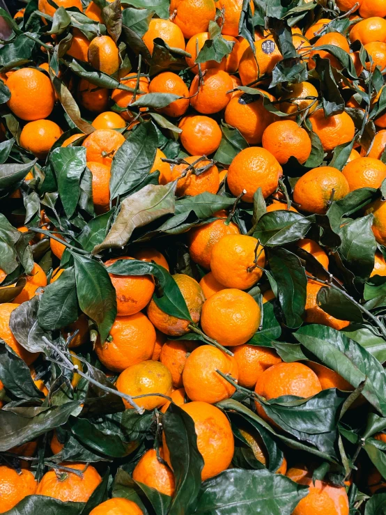 this is an image of many oranges in a pile