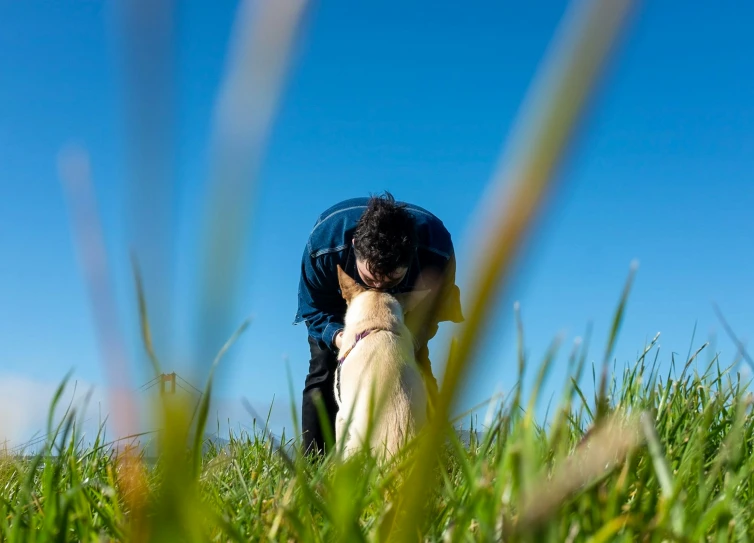 a man and dog in a field looking at the sky
