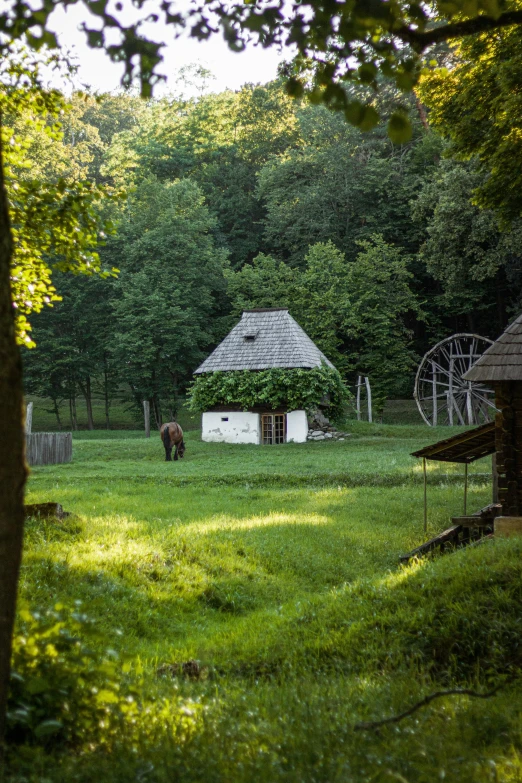 two animals in a field with some buildings and trees