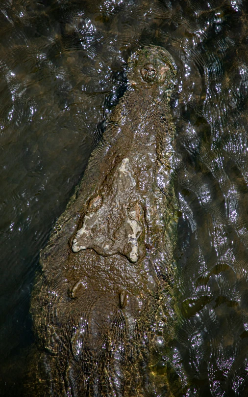 a stone in the water by the side of the road