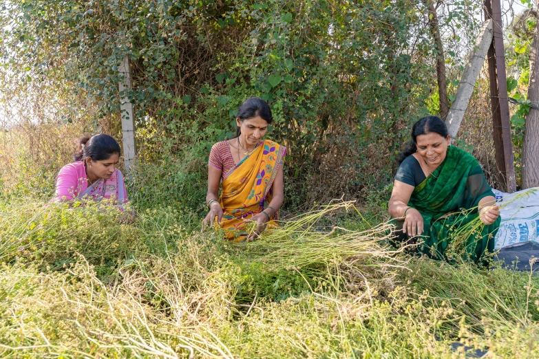 three women sitting and looking over some long grass