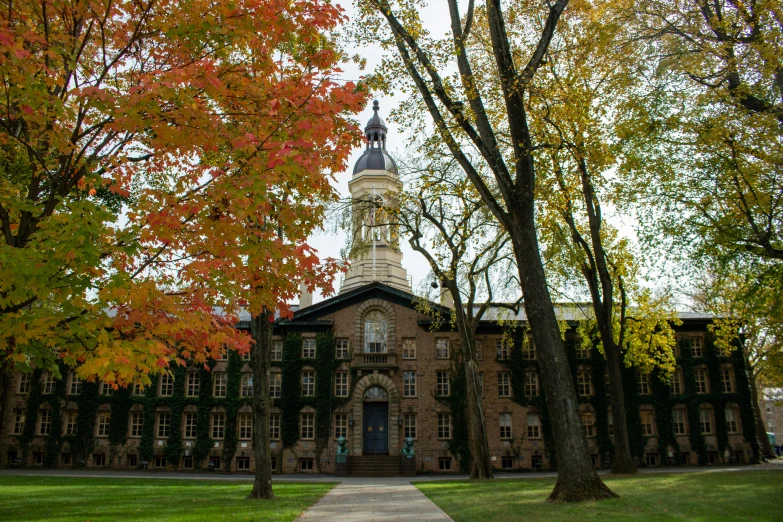 a building surrounded by lots of trees and autumn leaves