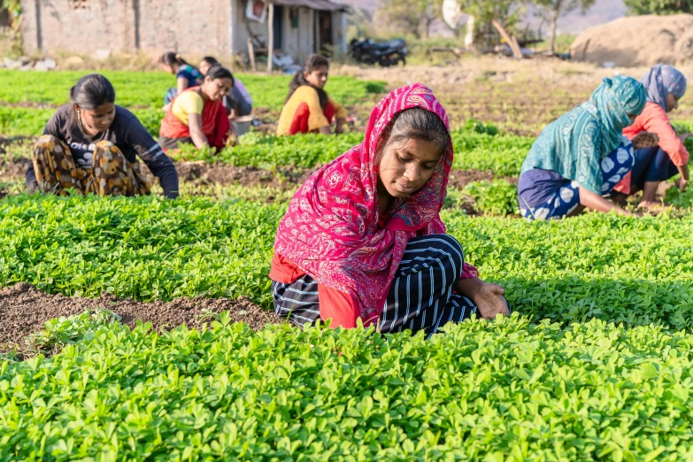 several people are in a large green field