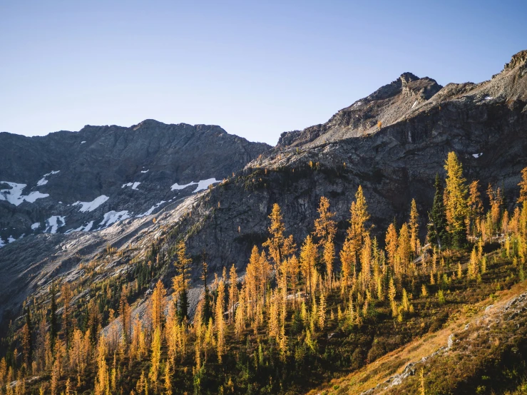 a mountain range with some very pretty trees on it