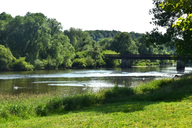 an idyllic river with a bridge and duck swimming below