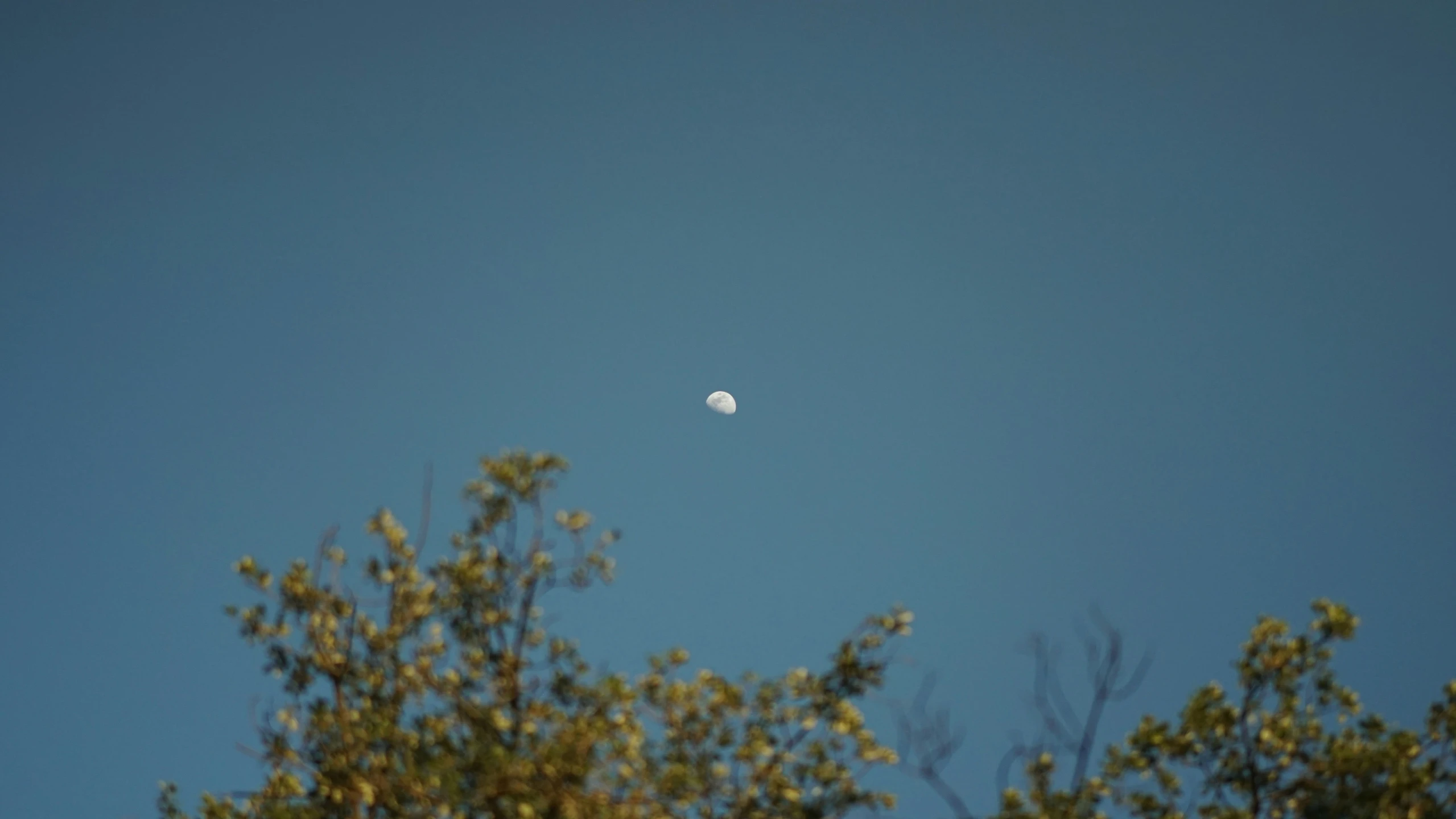 an airplane flying through the sky over trees