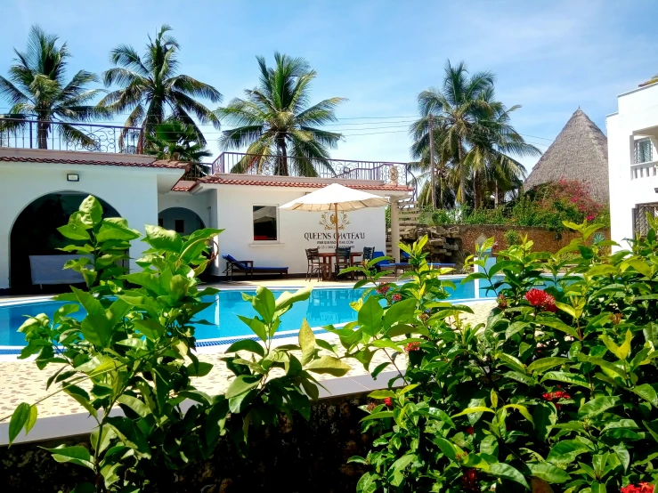 a tropical resort has a beautiful swimming pool