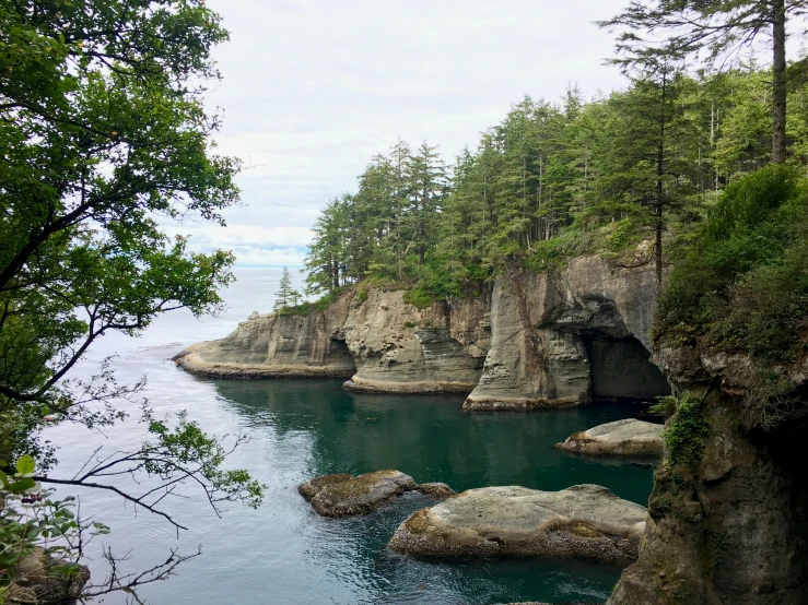 a body of water next to a forest with rocks in it