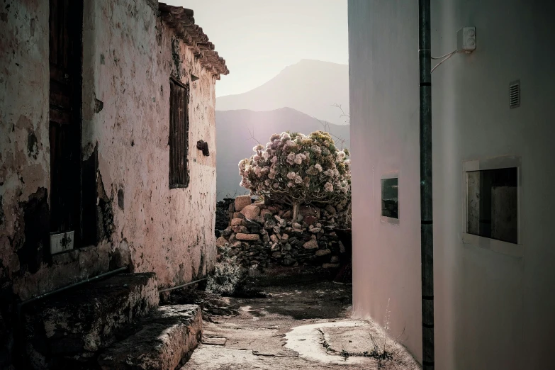 there is an alley way between two buildings