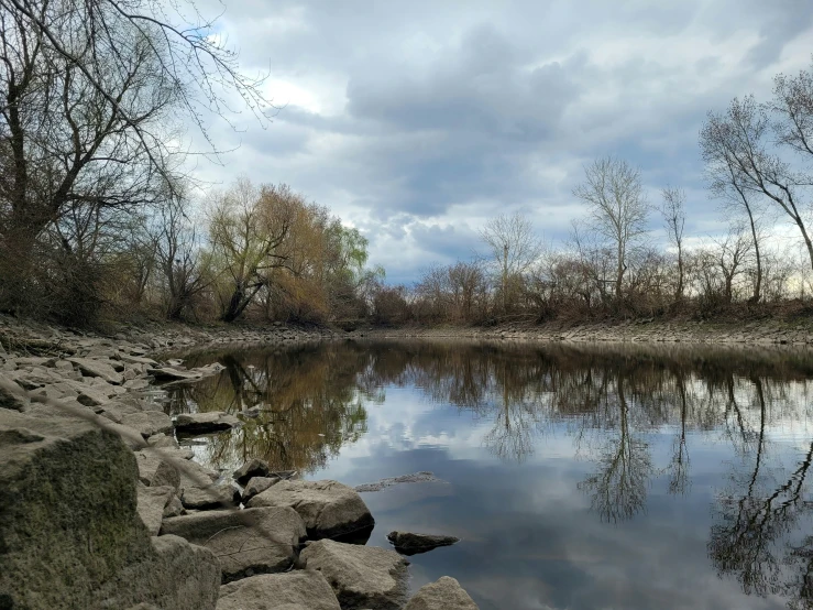 a body of water surrounded by a forest