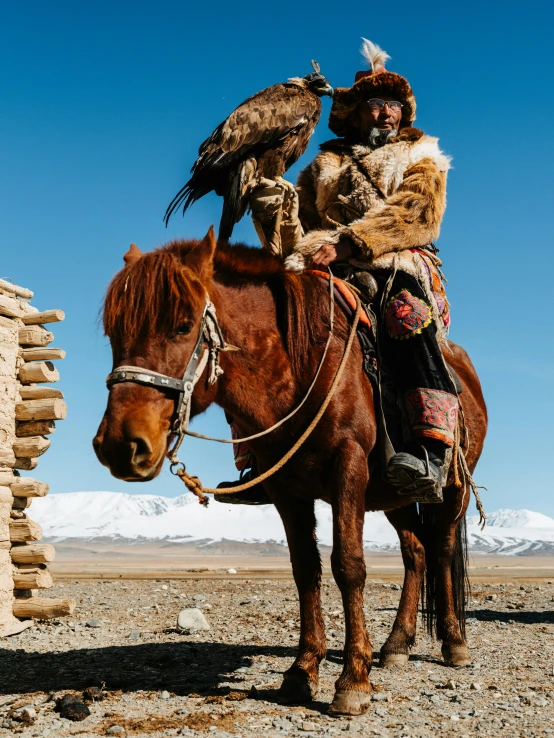 an indian man rides a horse with a hawk on his back