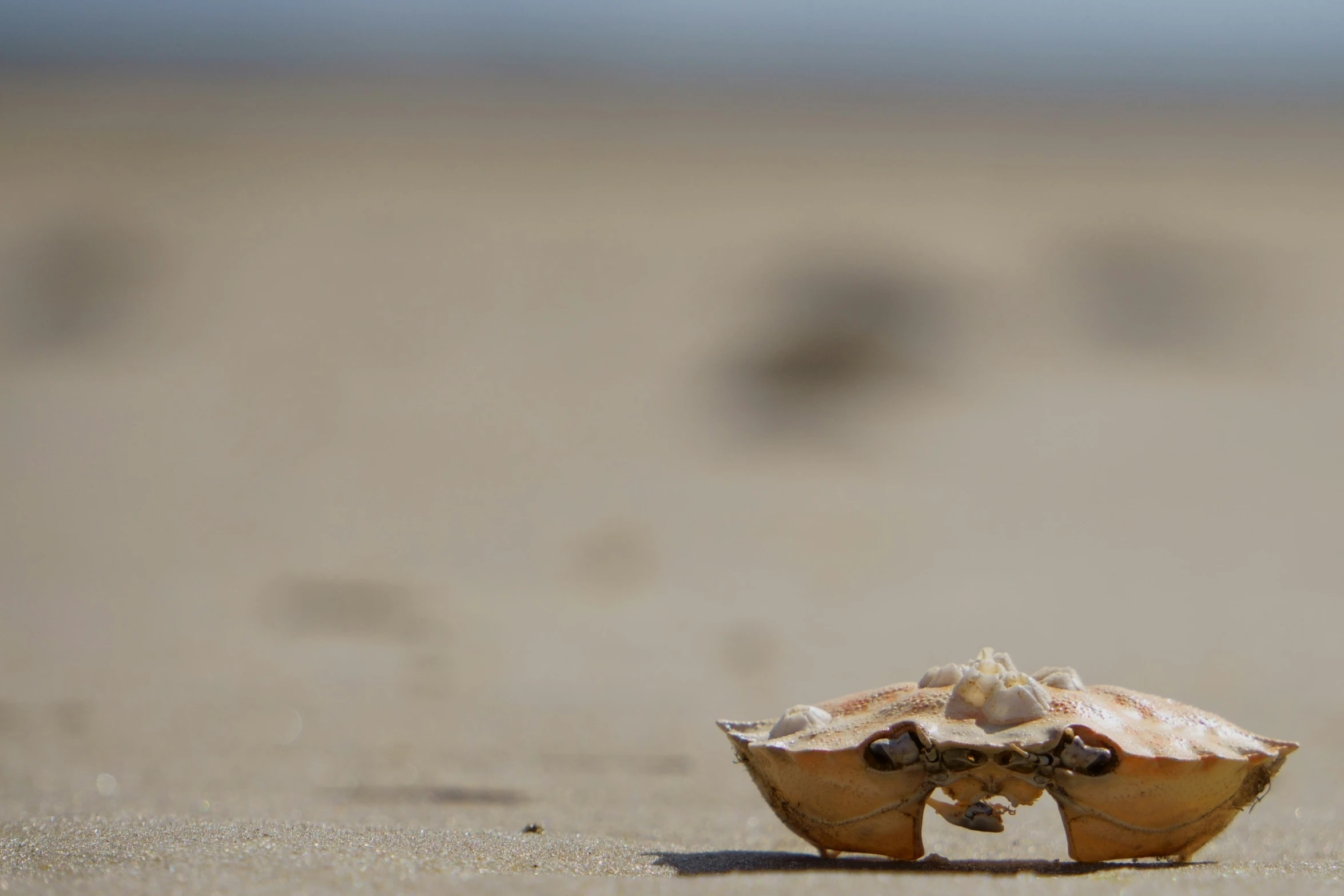 an object in the sand has been placed upside down