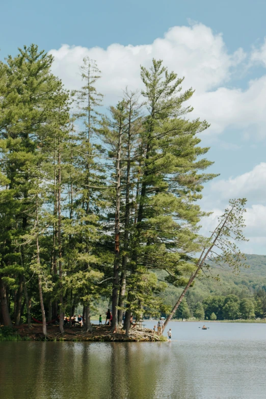 a couple of people are standing on a tree island